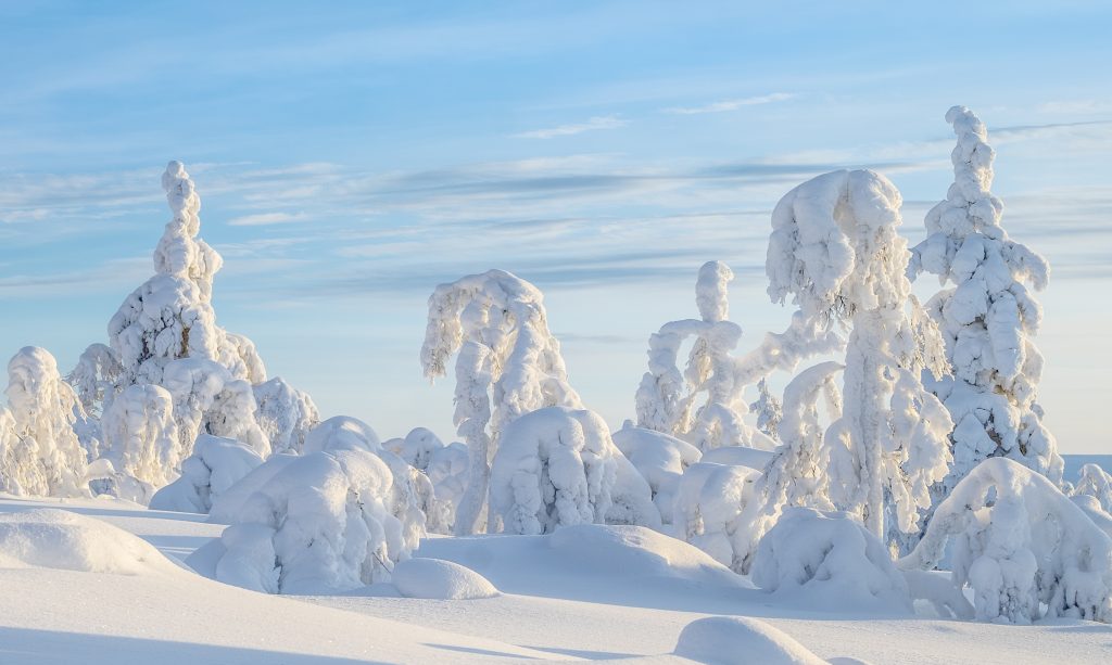 downhill-skiing-lapponia-tours